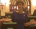 senado 1